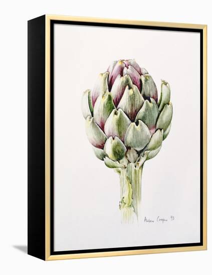 Artichoke Study, 1993-Alison Cooper-Framed Premier Image Canvas