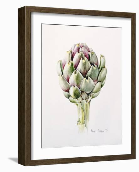 Artichoke Study, 1993-Alison Cooper-Framed Giclee Print