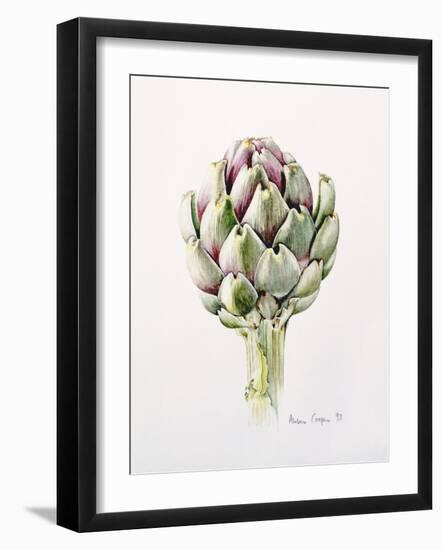 Artichoke Study, 1993-Alison Cooper-Framed Giclee Print