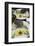 Artichoke with Dipping Sauce (Oil, Salt, Pepper and Vinegar), Cuisine-Nico Tondini-Framed Photographic Print