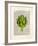 Artichoke-Matt Dinniman-Framed Art Print