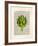 Artichoke-Matt Dinniman-Framed Art Print