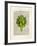 Artichoke-Matt Dinniman-Framed Art Print