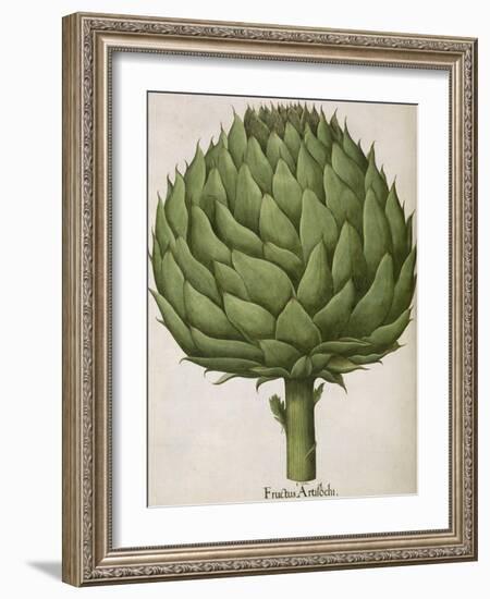 Artichoke-null-Framed Giclee Print