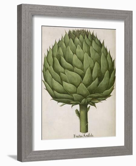 Artichoke-null-Framed Giclee Print