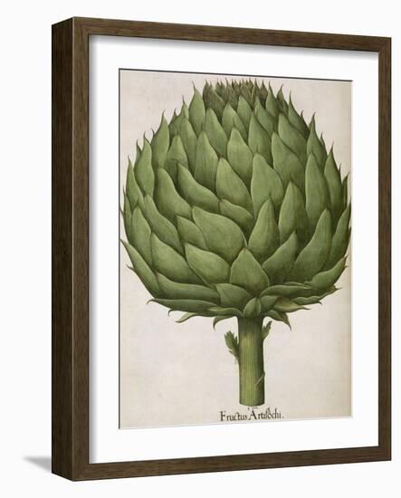 Artichoke-null-Framed Giclee Print