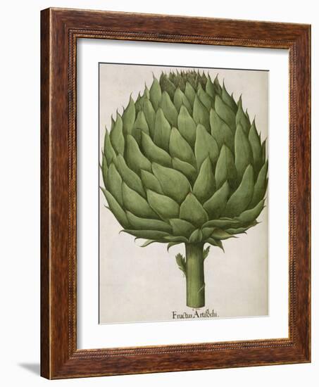 Artichoke-null-Framed Giclee Print