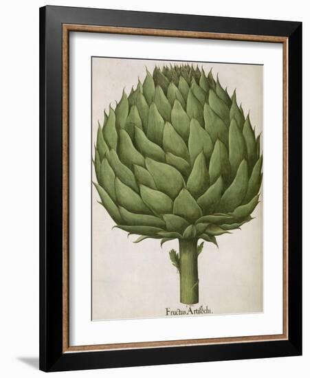 Artichoke-null-Framed Giclee Print