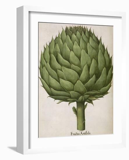 Artichoke-null-Framed Giclee Print