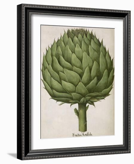 Artichoke-null-Framed Giclee Print