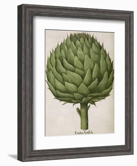 Artichoke-null-Framed Giclee Print