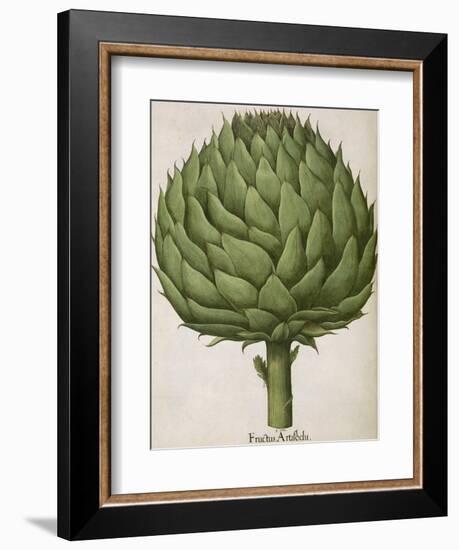 Artichoke-null-Framed Giclee Print