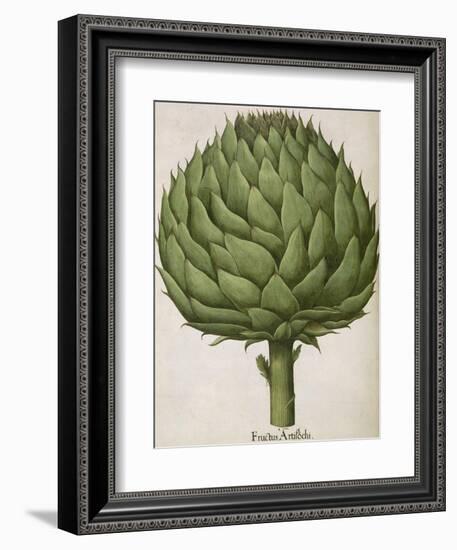 Artichoke-null-Framed Giclee Print