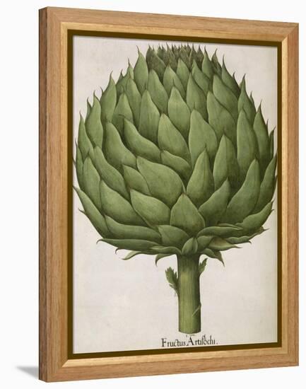 Artichoke-null-Framed Premier Image Canvas