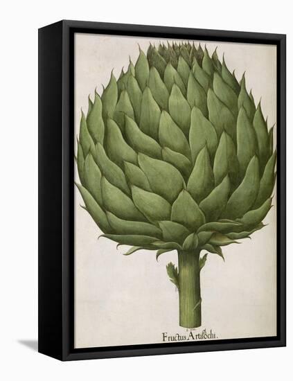 Artichoke-null-Framed Premier Image Canvas