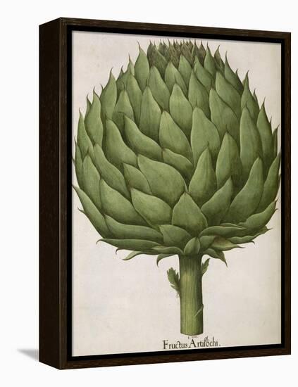 Artichoke-null-Framed Premier Image Canvas