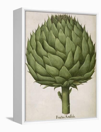 Artichoke-null-Framed Premier Image Canvas