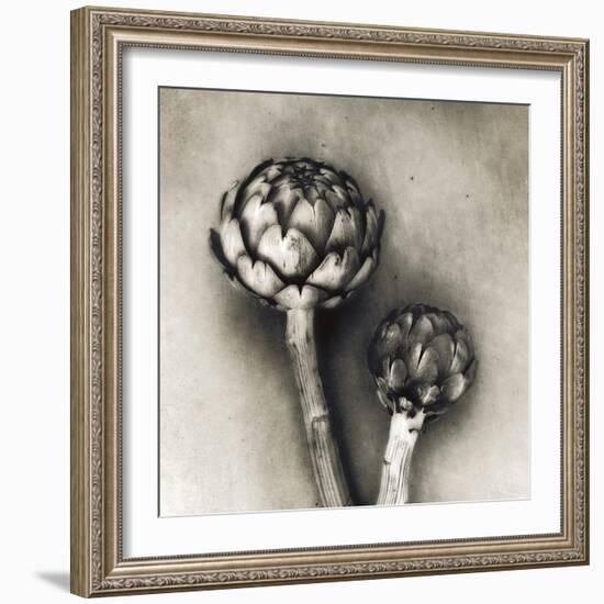 Artichoke-Jamie Cook-Framed Giclee Print