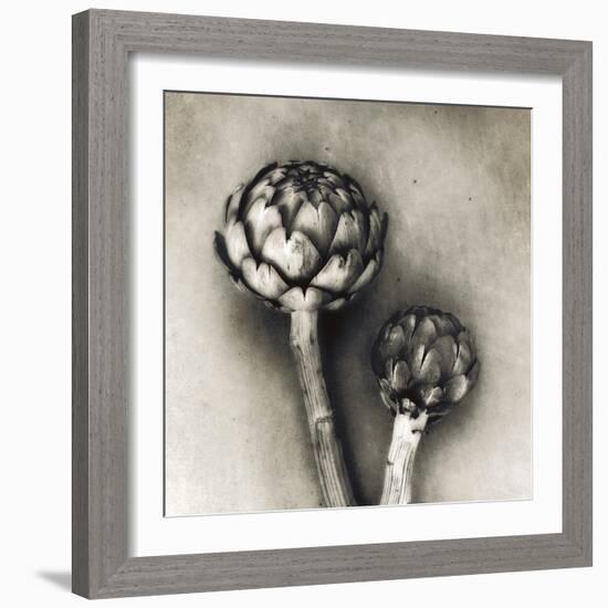 Artichoke-Jamie Cook-Framed Giclee Print