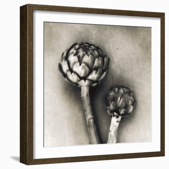 Artichoke-Jamie Cook-Framed Giclee Print