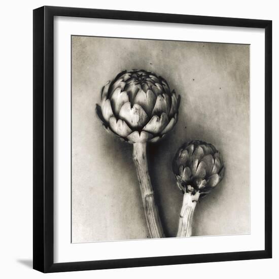 Artichoke-Jamie Cook-Framed Giclee Print