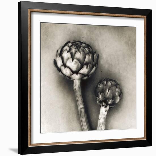 Artichoke-Jamie Cook-Framed Giclee Print