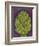 Artichoke-Jennifer Goldberger-Framed Art Print