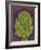 Artichoke-Jennifer Goldberger-Framed Art Print