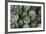 Artichokes at Place Marechal Foch Market, Ajaccio, Corsica, France-Walter Bibikow-Framed Photographic Print