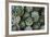 Artichokes at Place Marechal Foch Market, Ajaccio, Corsica, France-Walter Bibikow-Framed Photographic Print