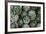 Artichokes at Place Marechal Foch Market, Ajaccio, Corsica, France-Walter Bibikow-Framed Photographic Print