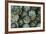 Artichokes at Place Marechal Foch Market, Ajaccio, Corsica, France-Walter Bibikow-Framed Photographic Print