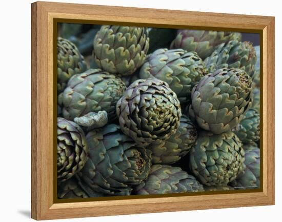 Artichokes, Siracusa, Italy-Dave Bartruff-Framed Premier Image Canvas