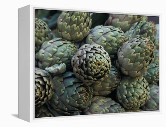 Artichokes, Siracusa, Italy-Dave Bartruff-Framed Premier Image Canvas