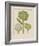 Artichokes-Besler Basilius-Framed Giclee Print