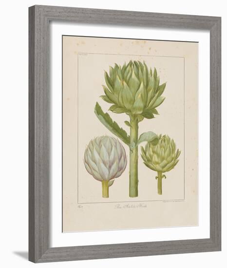 Artichokes-Besler Basilius-Framed Giclee Print