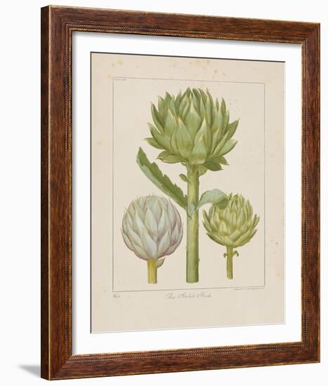 Artichokes-Besler Basilius-Framed Giclee Print