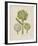 Artichokes-Besler Basilius-Framed Giclee Print