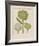 Artichokes-Besler Basilius-Framed Giclee Print