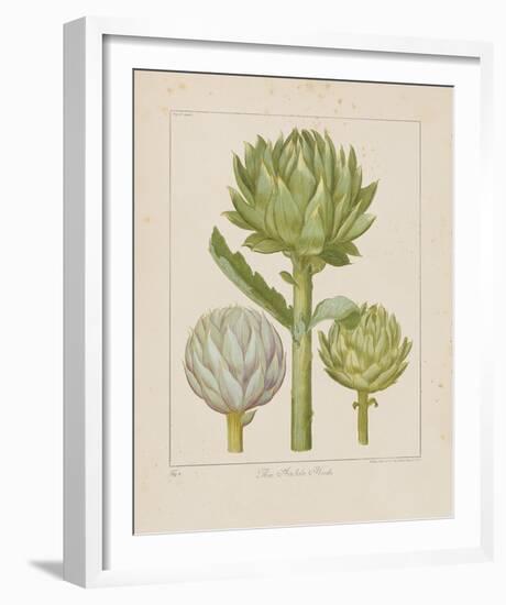 Artichokes-Besler Basilius-Framed Giclee Print