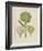 Artichokes-Besler Basilius-Framed Giclee Print