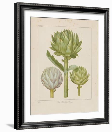 Artichokes-Besler Basilius-Framed Giclee Print