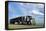 Articulated Lorry-Alan Sirulnikoff-Framed Premier Image Canvas