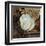 Artifact II-Pamela Gladding-Framed Art Print