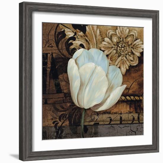 Artifact II-Pamela Gladding-Framed Premium Giclee Print