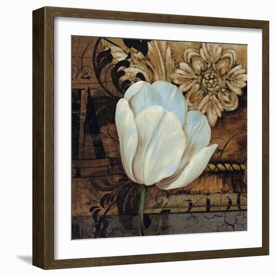 Artifact II-Pamela Gladding-Framed Premium Giclee Print