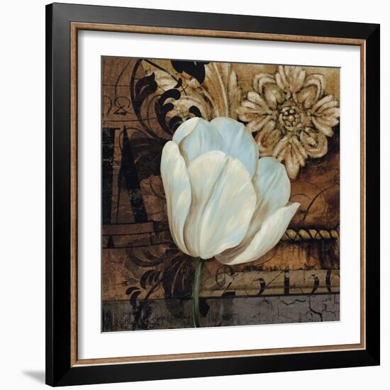 Artifact II-Pamela Gladding-Framed Premium Giclee Print