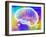 Artificial Intelligence-PASIEKA-Framed Photographic Print