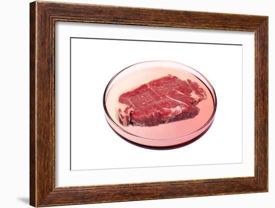 Artificial Meat, Conceptual Image-Victor De Schwanberg-Framed Photographic Print