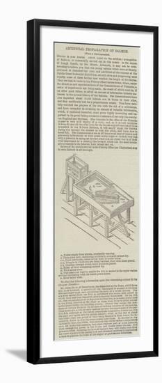 Artificial Propagation of Salmon-null-Framed Giclee Print